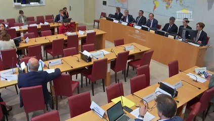 Commission des affaires étrangères : Contrat d’objectifs et de moyens (COM) entre l’Etat et France Médias Monde - Mercredi 9 octobre 2024