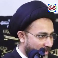 علامہ سید شہنشاہ نقوی قابلِ تعریف الفاظ