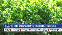 'Yoso Farm Homestead', Usaha Warga Klaten Bangun Sistem Integrasi Swasembada Pangan