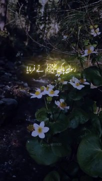 Hadith Compilation: Strengthening Faith Through Teachings | The Role of Hadith in Modern Islam