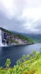 Fun Entertainment Nature