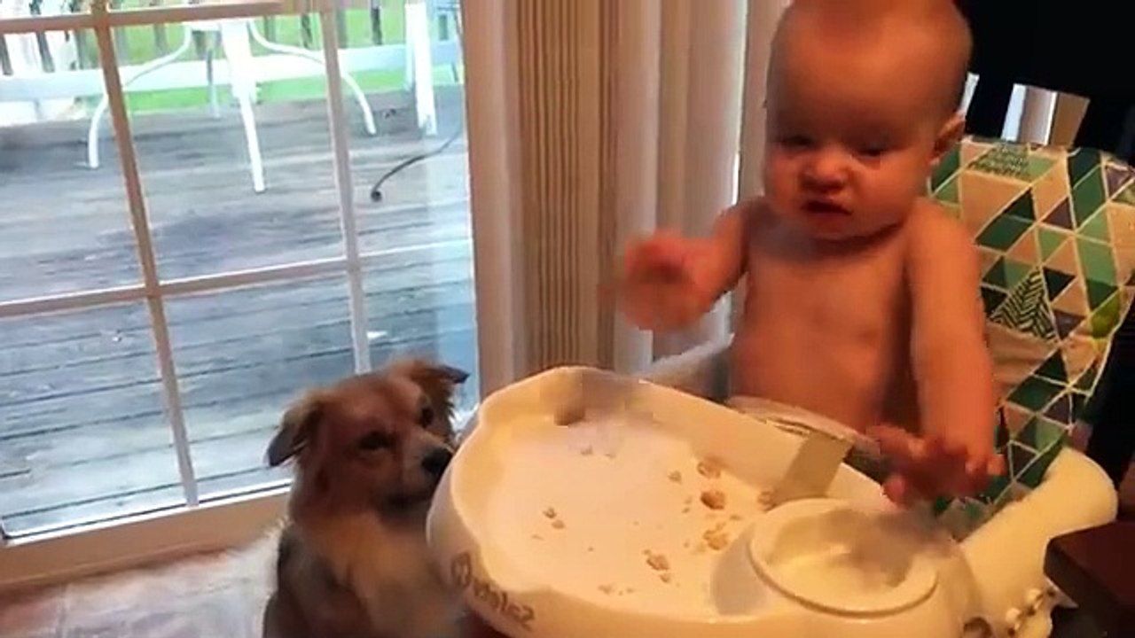Cutest Babies Play With Dogs And Cats Compilation _