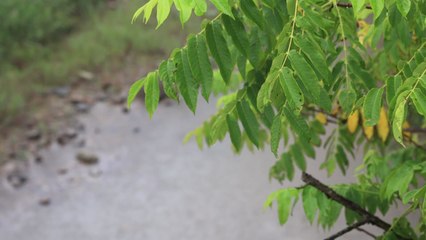 [날씨] 오후까지 서쪽·제주도 비...내일 대체로 맑고 온화 / YTN