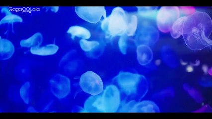 [ENG] EP.12-5 I Saw You in My Dream (2024)