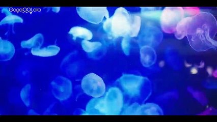 I S@w Y0u in My Dream EP12.5 Eng Sub