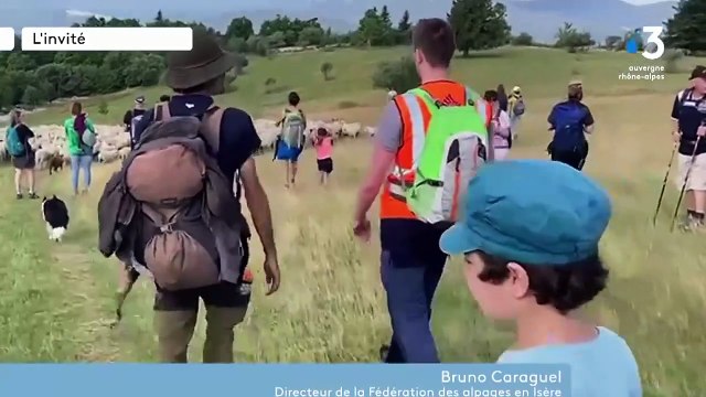 Comment réagir face aux patous ? Les conseils de la Fédération des alpages de l'Isère