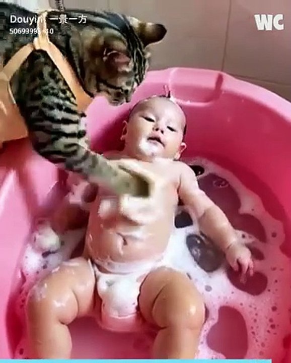 Cats love baby