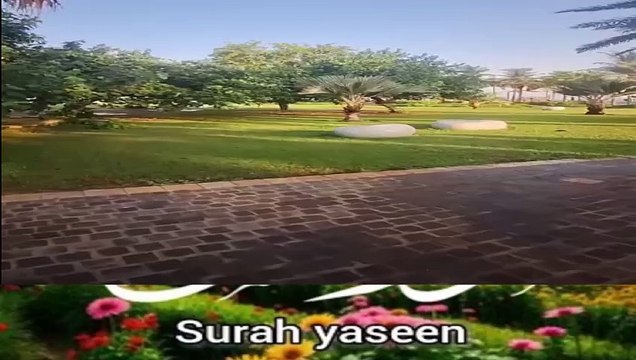 Heart-moving Surah Yasin by Sheikh Abdullah Abdul Masjid e Madinah |سورة يس |soul soothing recitation