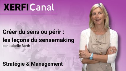 Créer du sens ou périr : les leçons du sensemaking [Isabelle Barth]