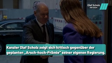 Scholz distanziert sich von seiner eigenen Regierung
