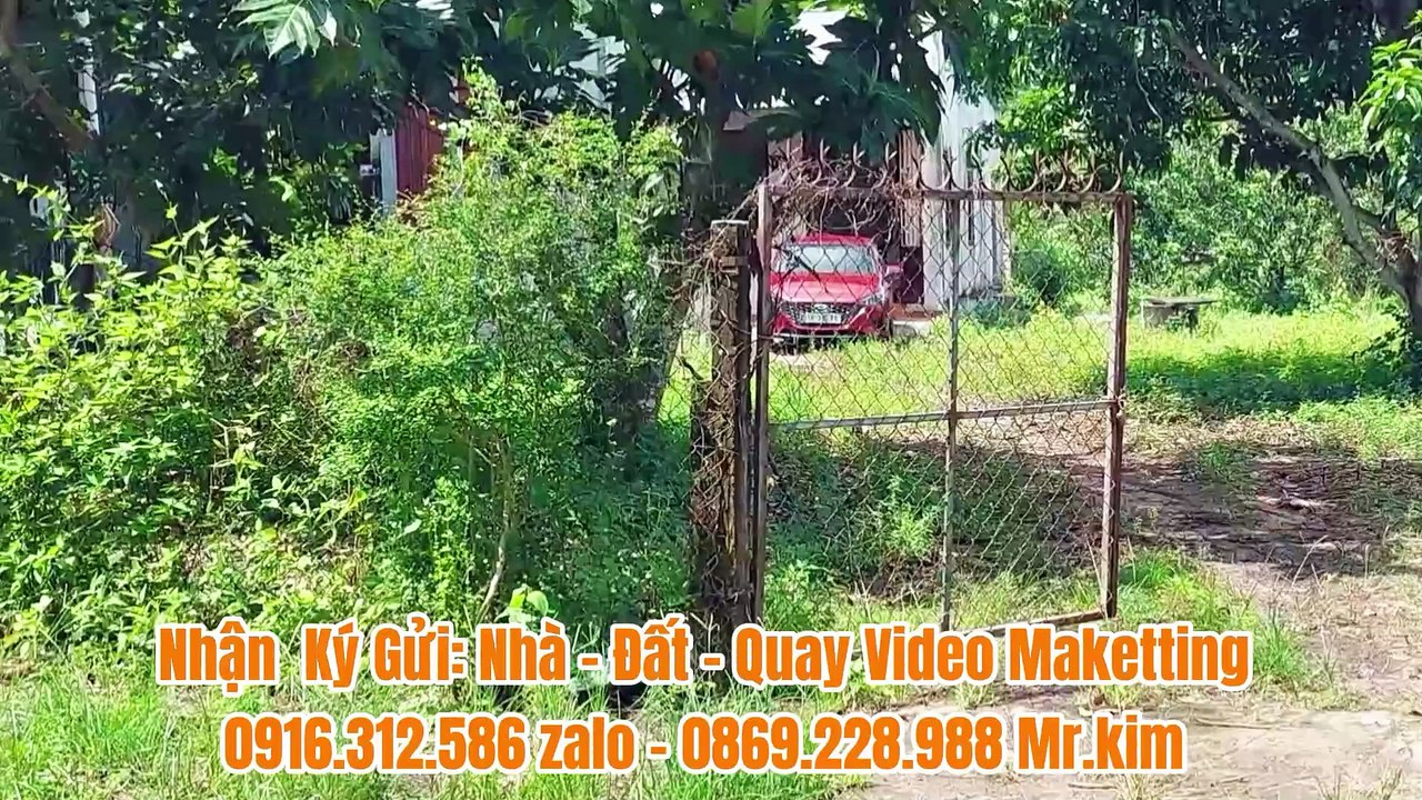 Đất Dầu Tiếng | Cần bán nhanh lô đất 12 x 46 ( tc 100) Giá rẽ#586