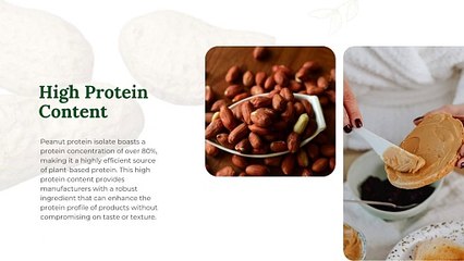 The Ultimate Guide to High Protein Peanut Isolate What Manufacturers Need to Know