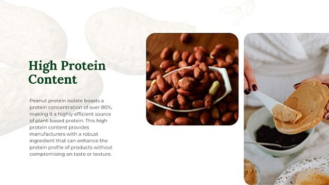 The Ultimate Guide to High Protein Peanut Isolate What Manufacturers Need to Know