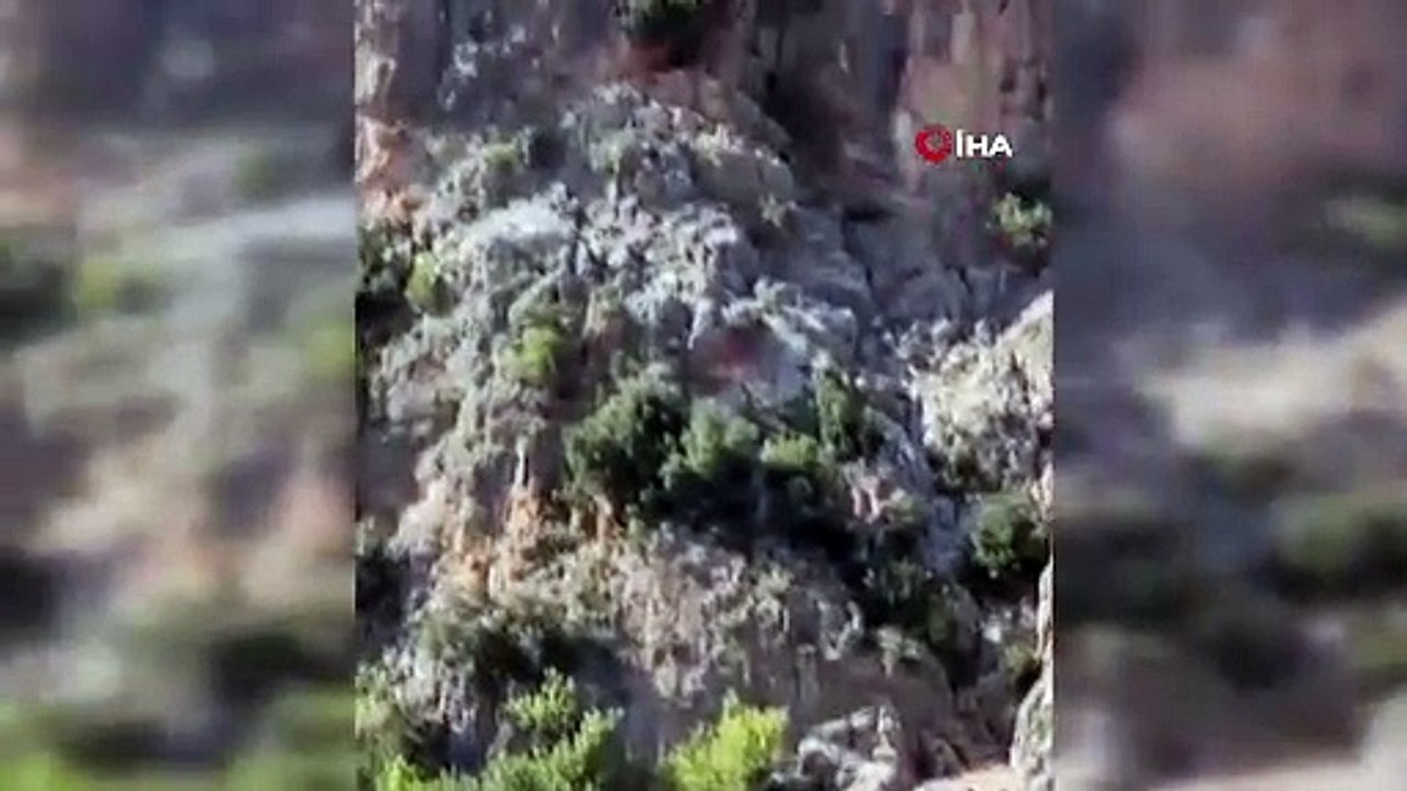 Dağda mahsur kalan keçiler kurtarılmayı bekliyor