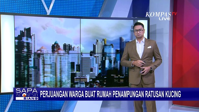 Penuh Perjuangan! Seorang Ibu di Kediri Jatim Ini Buat Rumah Penampungan Ratusan Kucing Liar