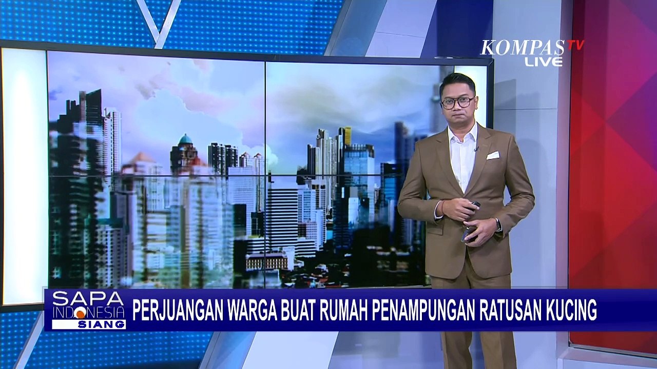 Penuh Perjuangan! Seorang Ibu di Kediri Jatim Ini Buat Rumah Penampungan Ratusan Kucing Liar