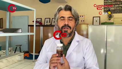 Keşfettiği yeni akrep türüne eşinin adını verdi! 'Eskorpius Gülhanim'
