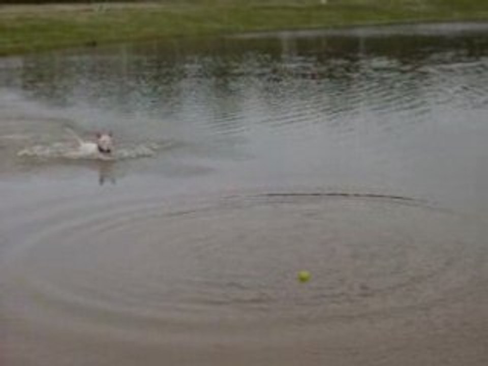 Bulle dans l'eau 2