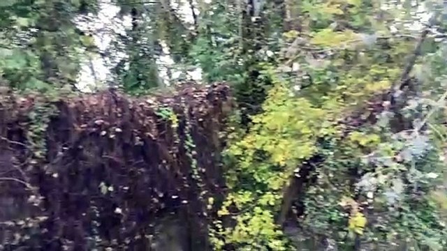 Peschiera Borromeo: allerta per il livello del Lambro