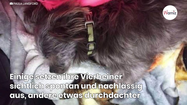 Armes Hündchen an Kette: Ein Zettel daneben gibt einen Hinweis auf seinen Besitzer