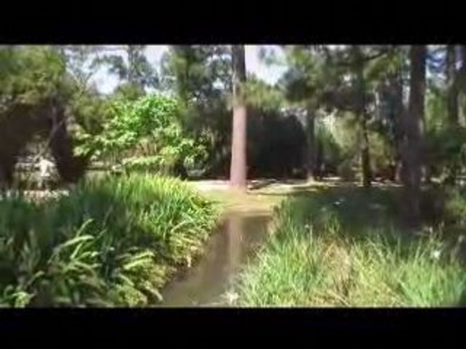 Japanese Garden in Hermann Park, Houston, TX