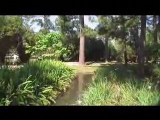 Japanese Garden in Hermann Park, Houston, TX