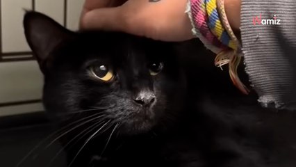 Saboya: el equipo llega por la mañana y descubre una desagradable sorpresa en la puerta