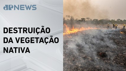 AGU cobra mais de R$ 89 milhões de infratores por queimadas