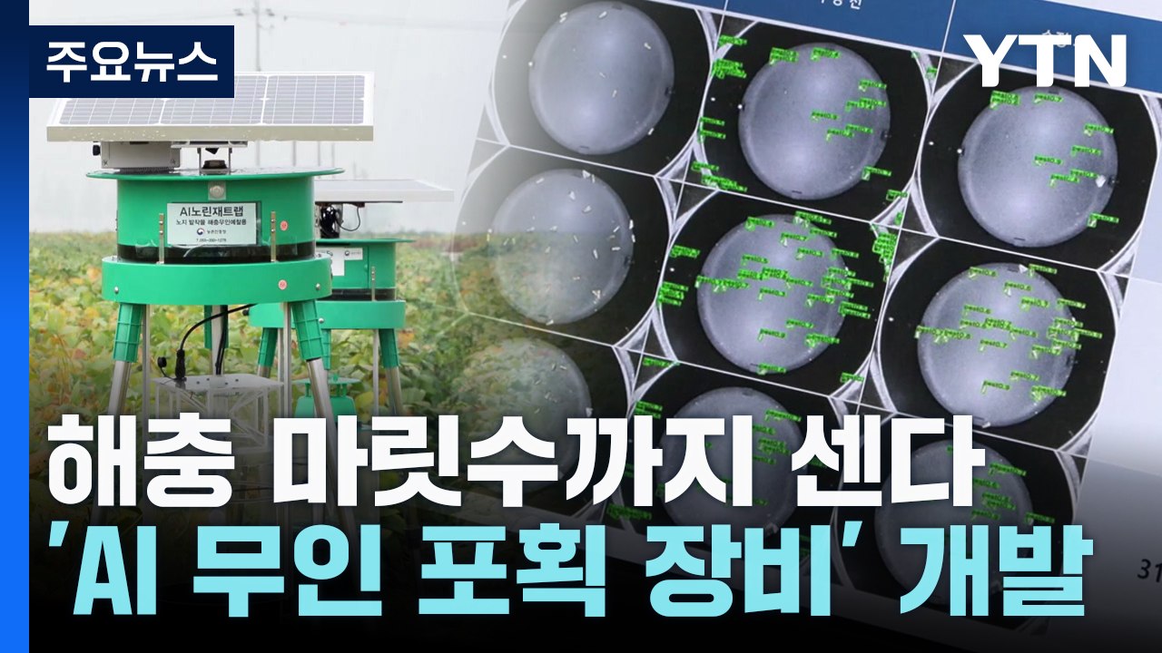 [녹색] 해충 마릿수까지 센다...'AI 무인 포획 장비' 개발 / YTN
