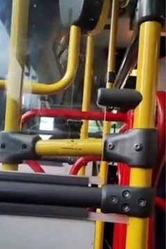 Motorista de ônibus tem surto e xinga passageiros após não parar em ponto
