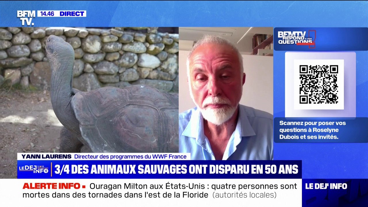 Biodiversité: depuis 50 ans, 73% des animaux sauvages ont diminué dans le monde selon un rapport de WWF France