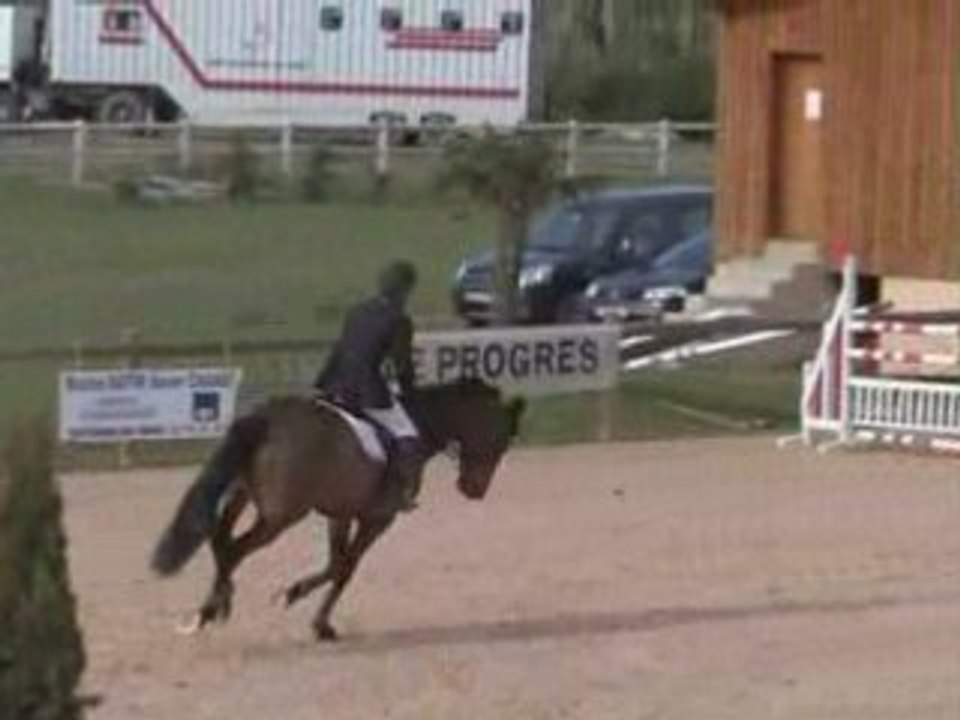 Othello de Felines, Arnas, La Sauvageonne 14 au16 Avril 2008