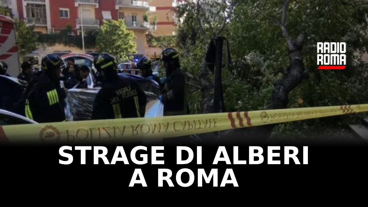 strage di alberi