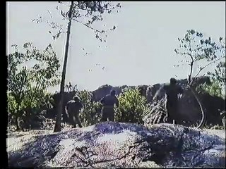 Untouchable Glory (1986)