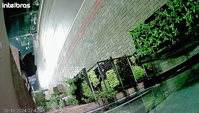 Cerca de 100 armas são furtadas de loja no Oeste de SC