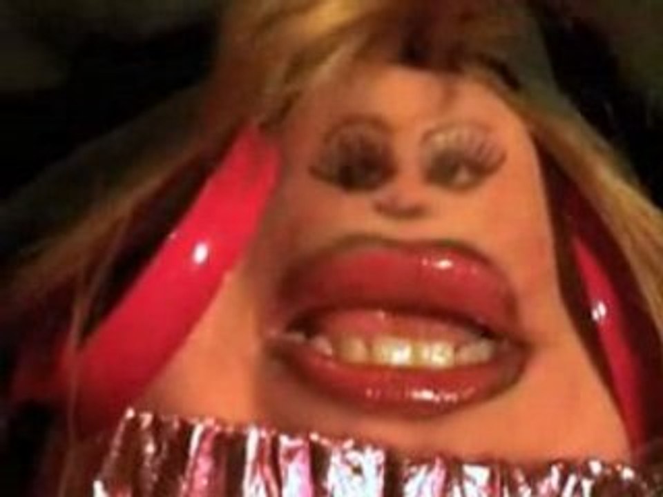 THEHOOTERS_Im Alive