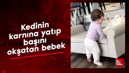 Kedinin karnına yatıp başını okşatan bebek