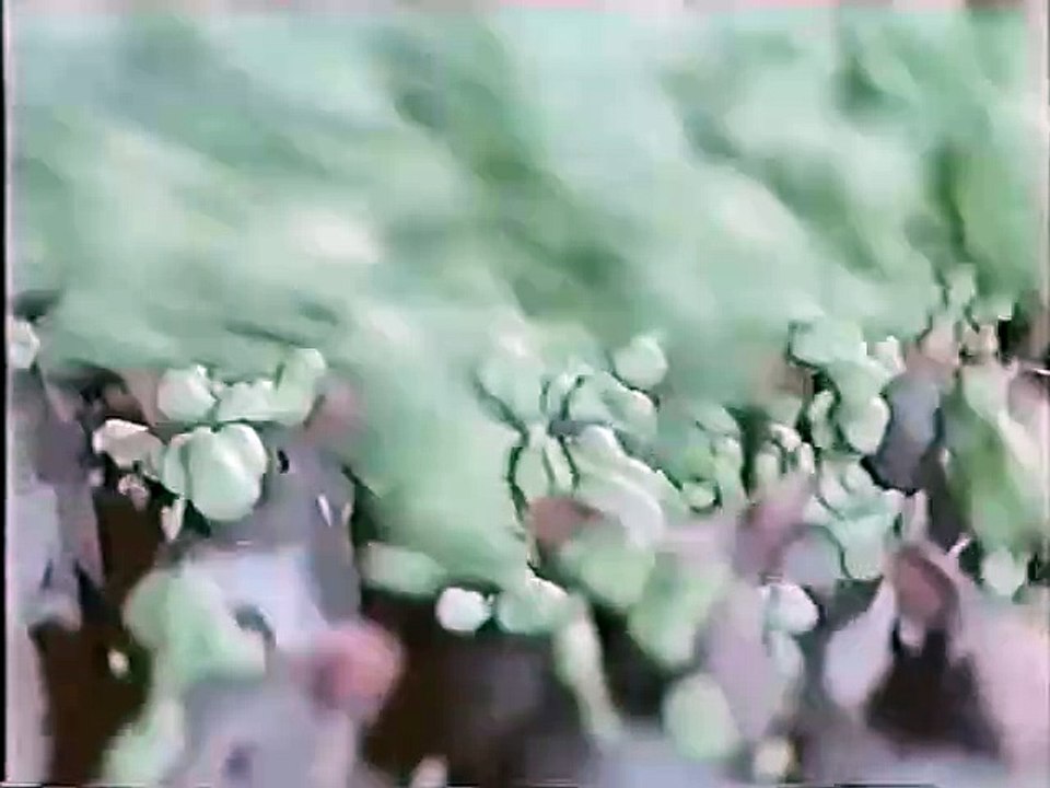 Cats And Dogs_Cat snatches up and eats Mouse