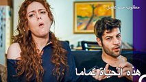 التكيف مع منزل الرجل الأعزب - مطلوب حب عاجل الحلقة ال 2