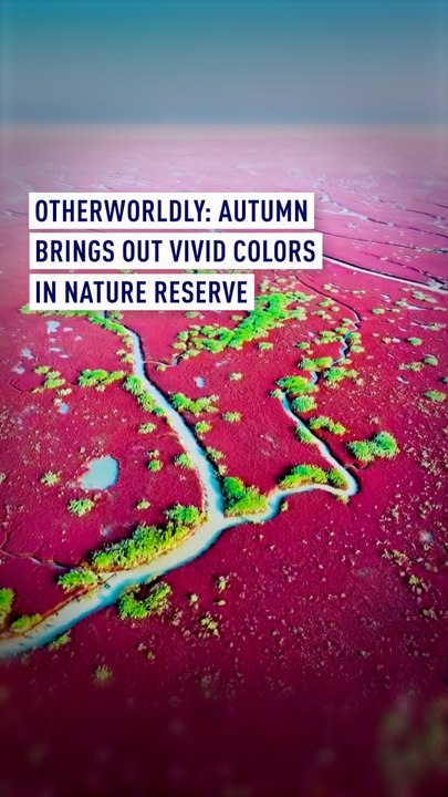 Otherworldly: Autumn brings out vivid colors to nature reserve