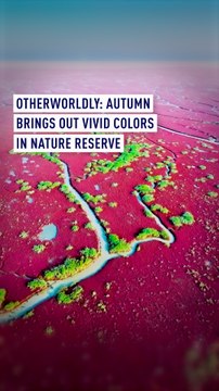 Otherworldly: Autumn brings out vivid colors to nature reserve