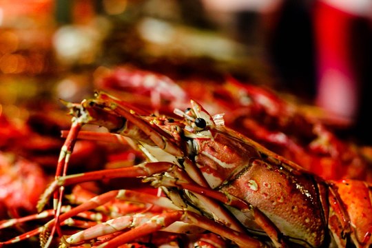 Pembrokeshire politician highlights Welsh Government’s lavish ‘lobster kebabs’ spending in the US