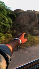 Shajar hajar nahi...