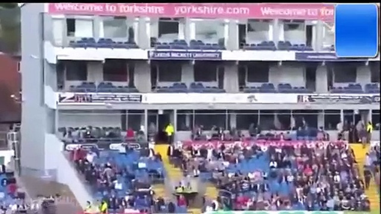 amazing cricket shots