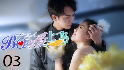 Boss and the Bird EP03 | BOSS爱上鸟