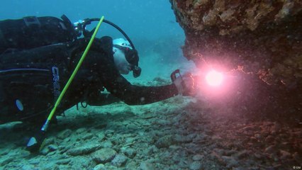 السبيل للحد من مخاطر ارتفاع حرارة البحر المتوسط