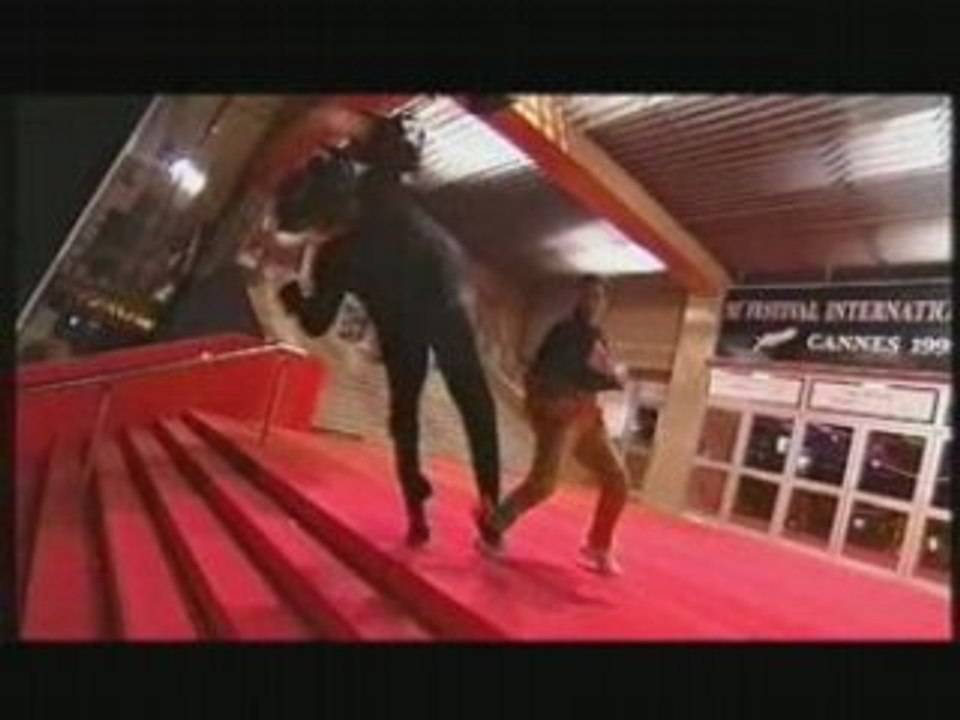 Air&fight montage "Fall-guy"