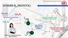 The benefits of vitamin B8 (inositol) in the case of diabetes
