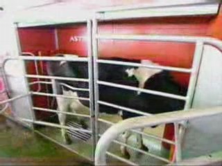 Lait - comment c'est fait ?