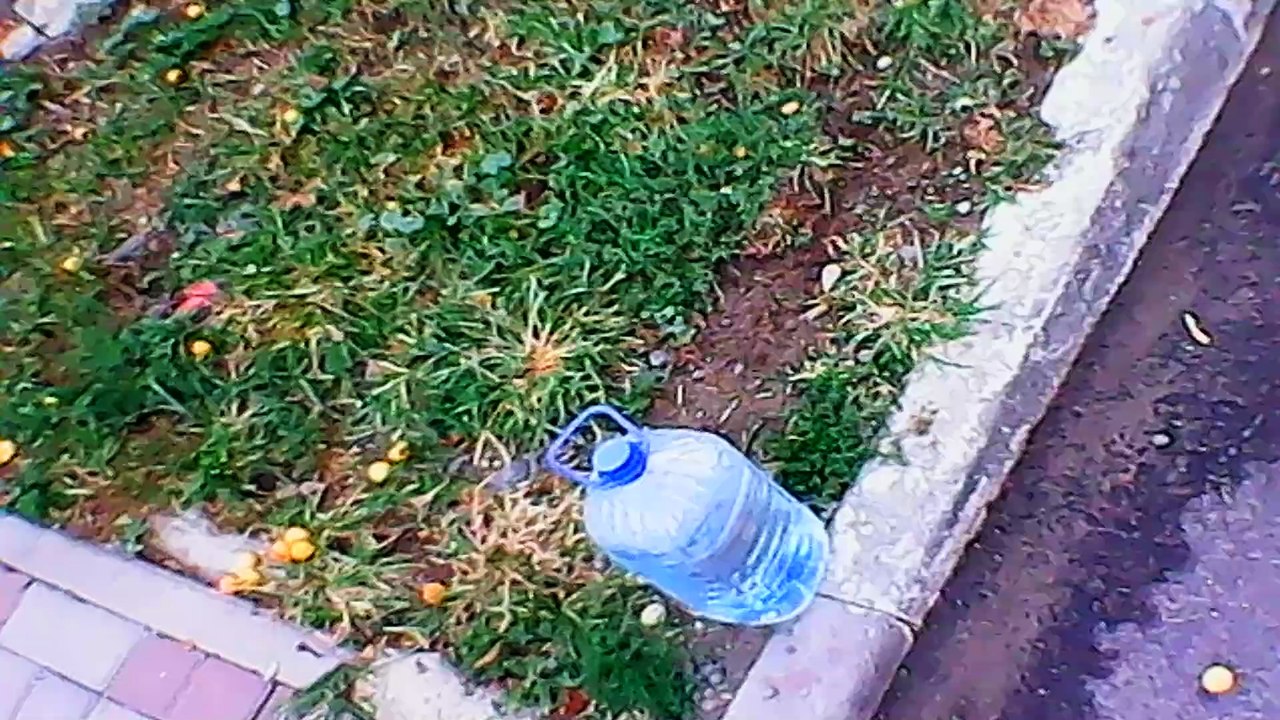 VID_20230222_202222